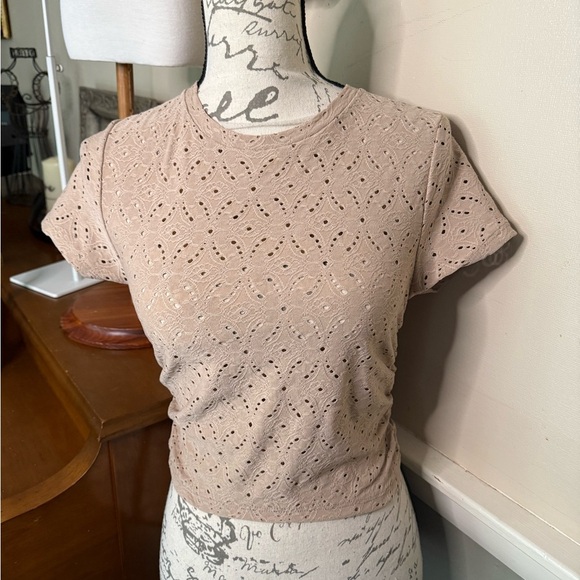 Cream and Tan Eyelet Crop Top with Short Sleeves NWT - Picture 2 of 7